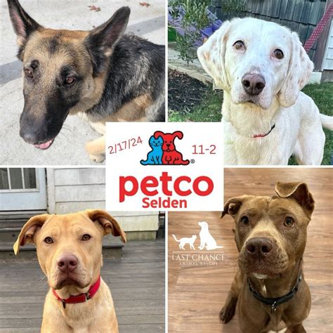 petco selden